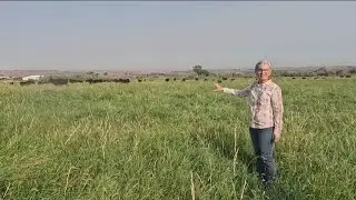 Inside Ag: harvesting Idaho's finest
