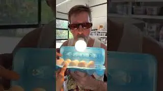 How to Hatch Eggs WITHOUT a Chicken! 🥚🛠️ #cringe #hacks #diy
