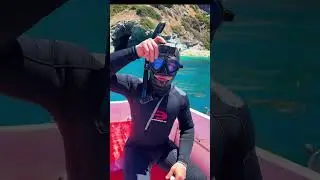 Shark Surprise in Catalina! 🦈 Fishing, Diving & Underwater Moments