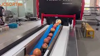 Apple Washing, Drying, Color Sorting & Packing Line, Apple optical sorting machine, apple sizer