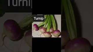 English Vegetable Names| English Learning #shorts #youtube #english