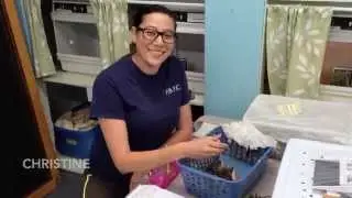 CWC Volunteers Answer the 