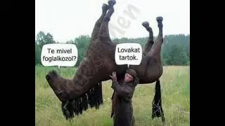 Vicek part3
