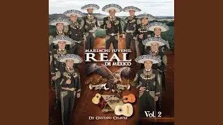 Sin Sangre en las Venas