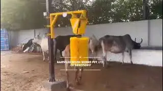 cow grooming brush machine