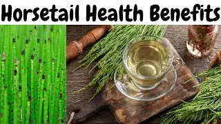 What Are the Health Benefits of Horsetail?