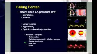 Dr. Marc Gewillig | Parte 1- CURSO SOBRE CARDIOPAT&Iacute;AS CONG&Eacute;NITAS EN EL NI&Ntilde;O Y EL ADULTO