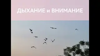 Дыхание и осознавание. Breathing and mindfulness