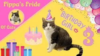 Pippa's Birthday!