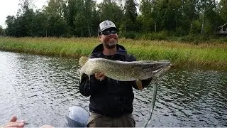 Big pike and New experimental tails Svartzonker