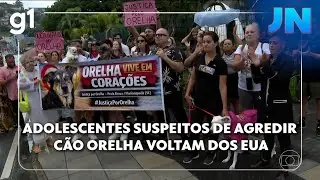 JN: Adolescentes suspeitos de agredir c&atilde;o Orelha voltam dos EUA e devem depor &agrave; pol&iacute;cia