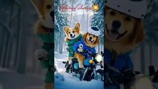 Dogs Trip #animation #cute #funny #remix