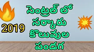 Central Government Jobs 2019 B/S
