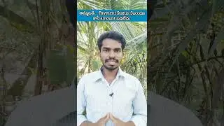 Amma Vodi Payment Status Success but Amount Not Credited