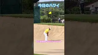 【今日のハワイ】Hawaii Today 間近で松山英樹選手のバンカーショットが見れましたよ(^.^) #ハワイ