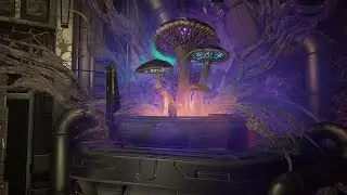 All of the Prince's stem paths (Nightcap's story) | Warframe