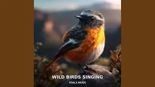 Wild Birds Singing in Untouched Natural Habitats, Pt.1
