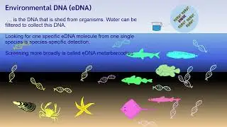 comparison of different types of filter for retention of environmental DNA in marine aquarium water