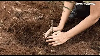 Tree Plantation Drive at Triveni Ashram, Pune