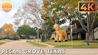 Pecan Grove, Texas Decorates for Christmas! Drive with me through a festive Texas neighborhood.