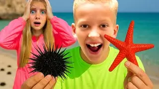 🦔 PLAJA plină de ARICI de MARE 😱 Am PIERDUT BARCA departe &icirc;n LARG 🛶