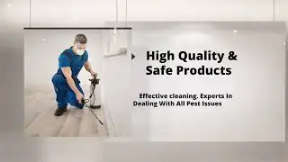 Express Pest Control Services