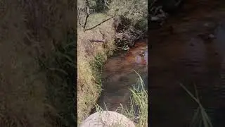 Explorando novos lugares!