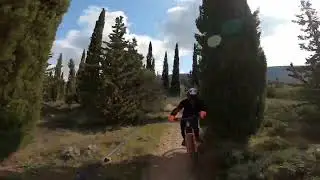 imitos (fox-drop trail)