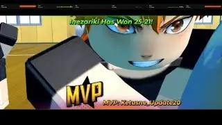 vbl setter perspective