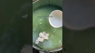 Acrylic Paint Water Disposal