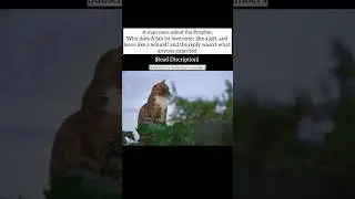 Read this carefully...Full message in the description