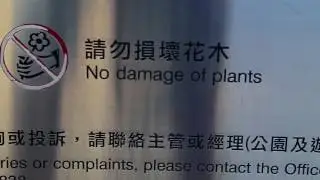 Дневник РАЙДЕРА #17   Лучший Скейт парк в Гонконге   Fanling skatepark Hong kong   Дима Гордей
