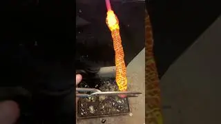 Black, White, & Gold  #art #glassartist #glass #asmr #glassblowing #decoration #design