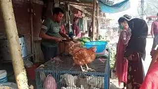Amazing Technique chicken cutting skills at Roadside chicken market|cutting skills Super performance