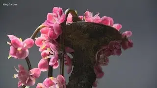 New wing opening at Tacoma Art Museum