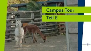 Campus Tour mit Bj&ouml;rn und Elena - Teil E: Ausflug zu den Standorten Lankwitz und D&uuml;ppel
