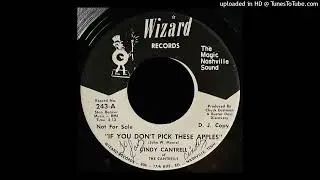 Cindy Cantrell - If You Don't Pick These Apples - Wizard Records 45
