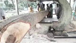 Danger! Life Destroying Wood Cutting at Sawmill Asia। Dangerous Wood Cutting Traditional Way
