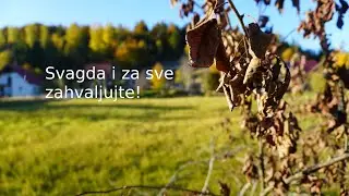 Svagda i za sve zahvaljujte