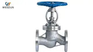 WESDUN Stainless Steel Globe Valve