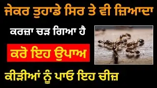 ਜੇਕਰ ਤੁਹਾਡੇ ਸਿਰ ਤੇ ਵੀ ਜ਼ਿਆਦਾ ਕਰਜ਼ਾ ਚੜ ਗਿਆ ਤਾਂ ਜ਼ਰੂਰ ਕਰੋਂ ਇਹ ਉਪਾਅ ਕੀੜੀਆਂ ਨੂੰ ਪਾਓ ਇਹ ਚੀਜ਼ ਦੇਖੋਂ ਚਮਤਕਾਰ