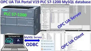 TIA Portal V19 connect with PLC S7-1200 OPC UA MySQL database