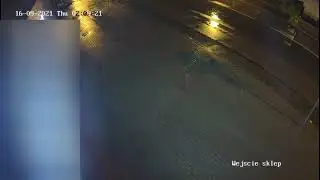 Przestępca z premedytacją