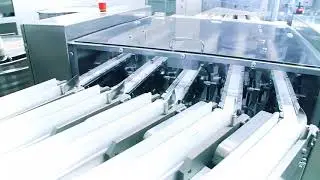 Stick pack technology at Losan Pharma