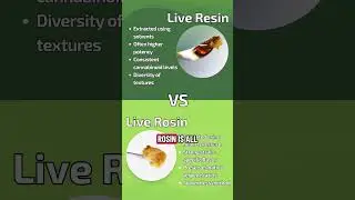 What&rsquo;s the difference between Live Resin and Live Rosin? #terps