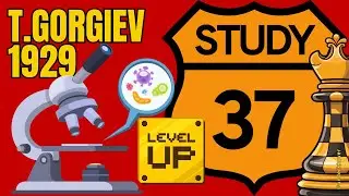 Study 37 - Tigran Gorgiev | Solving Studies to Improve Chess Calculation