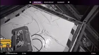 Coffin dance Apex Legends