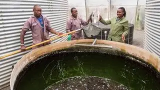 Florensis | CSR projects in Kenya