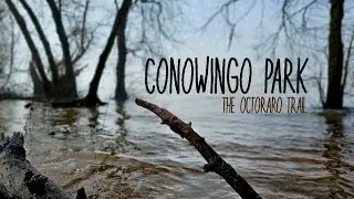 Hiking along the Foggy, Flooded Susquehanna at Conowingo Park