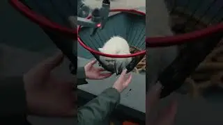High Tech Rescue for a Helpless Furball 🚁❤️